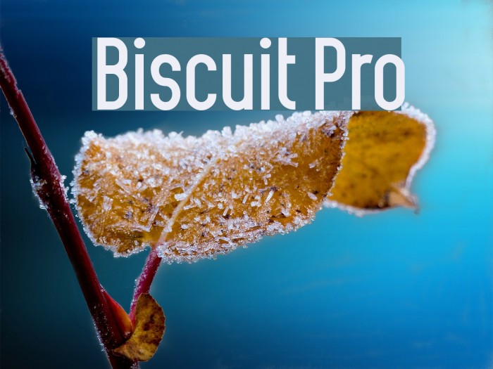 Biscuit Pro Font examples