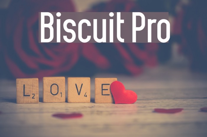 Biscuit Pro Font examples