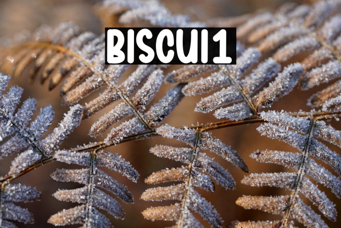 Biscuit1 Example 1