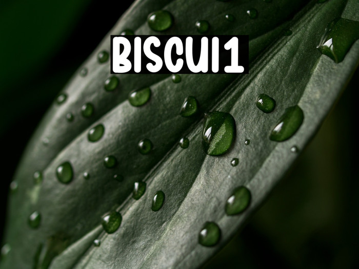 Biscuit1 Example 3