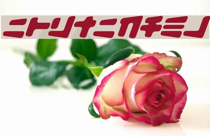 BiscuitBank Font examples