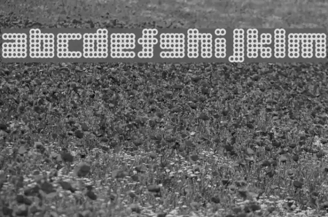 BiscuitPunch フォント examples