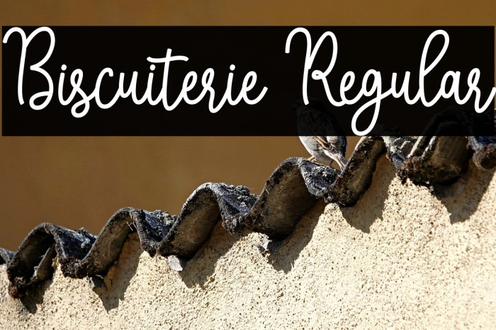 Biscuiterie Regular Example 1