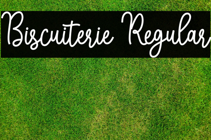 Biscuiterie Regular Example 2