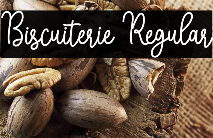 Biscuiterie Regular Example 3