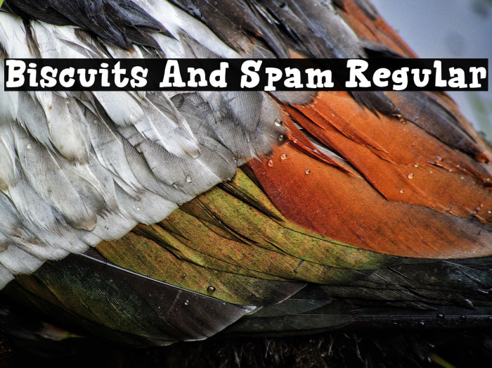 Biscuits And Spam Regular Example 2