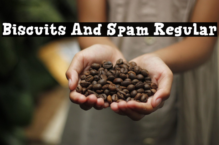 Biscuits And Spam Regular Example 3
