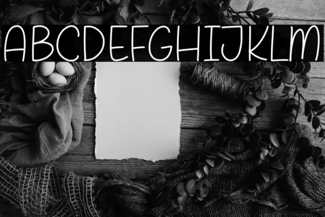 Biscuits Delight Caratteri examples