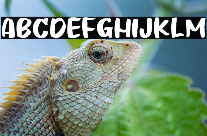 Biscuits Story Example 2