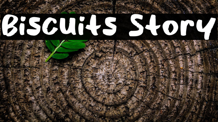 Biscuits Story Example 2
