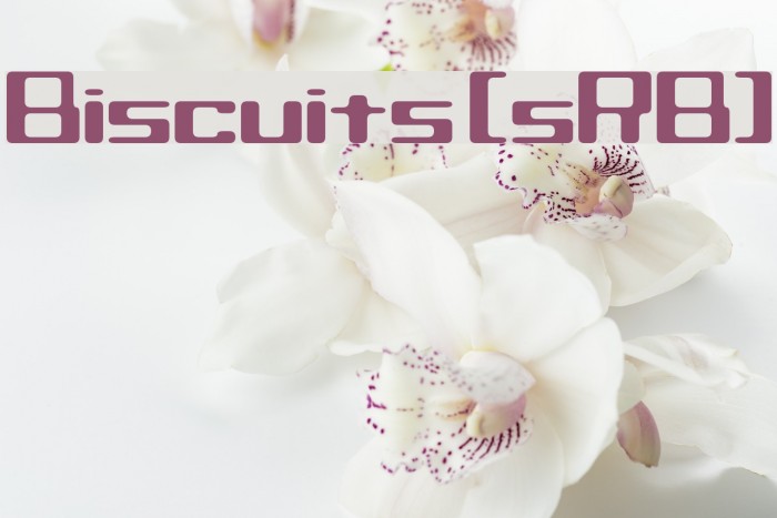 Biscuits [sRB] Example 2