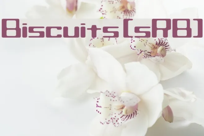 Biscuits [sRB] Example 2