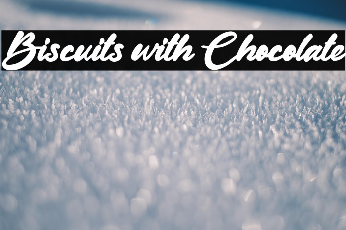 Biscuits with Chocolate Example 2