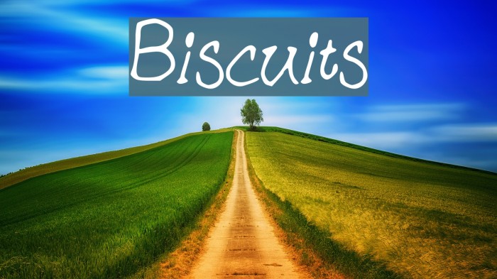 Biscuits Font examples