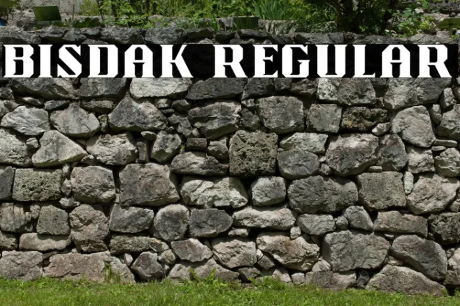 Bisdak Regular Example 1