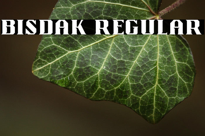 Bisdak Regular Example 3