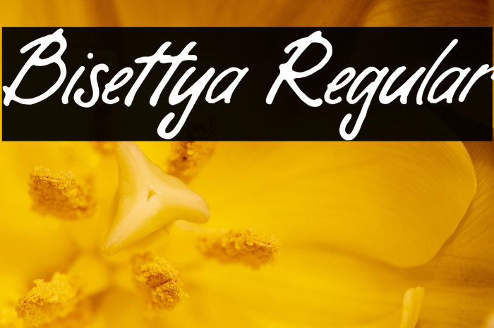 Bisettya Regular Example 2