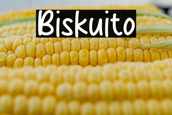 Biskuito Example 3