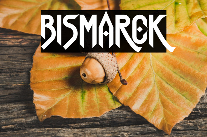 Bismarck Example 1
