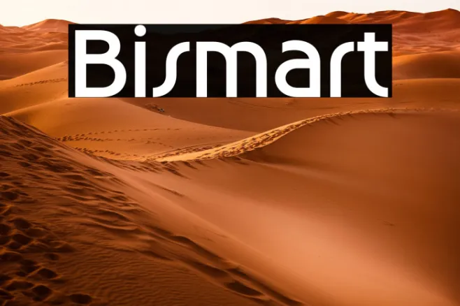 Bismart Example 1