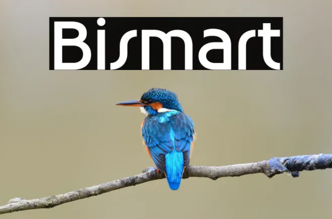 Bismart Example 2