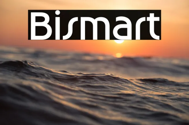 Bismart Example 3