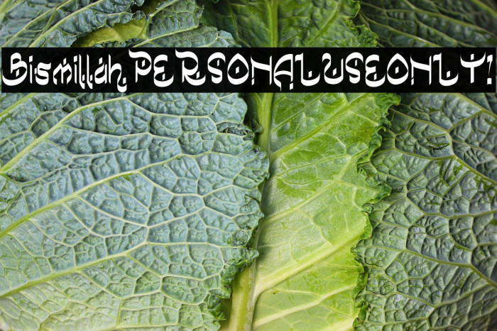 Bismillah PERSONAL USE ONLY! Example 3