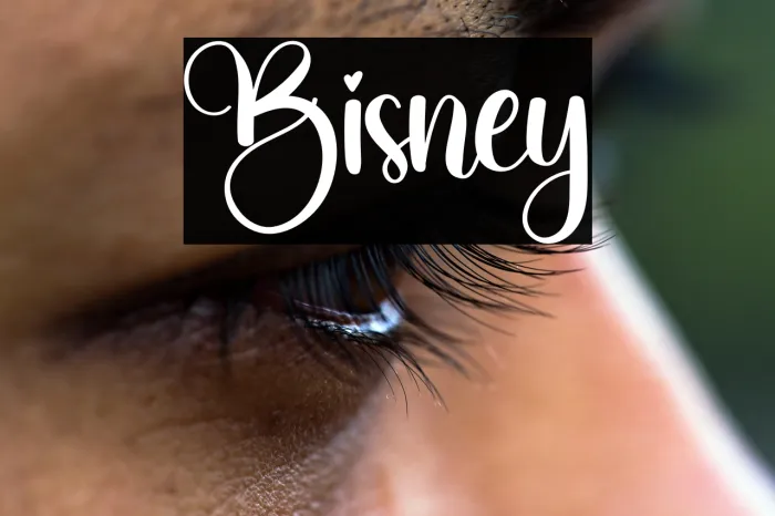 Bisney Example 1