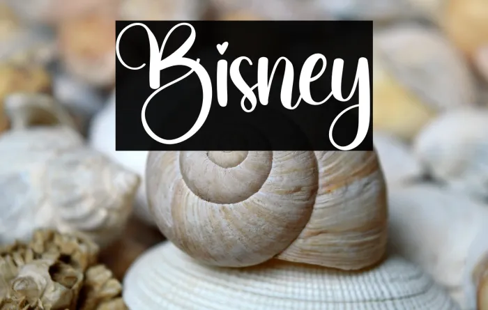 Bisney Example 2