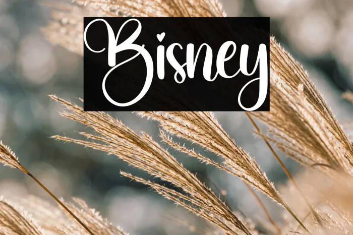 Bisney Example 3