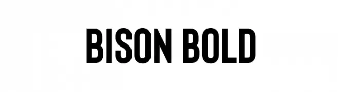 Bison Bold  baixar fontes gratis