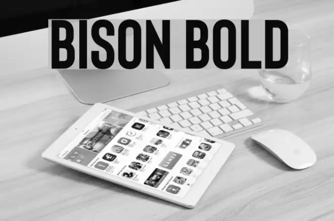 Bison Bold Font examples