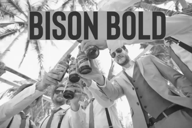 Bison Bold Font examples