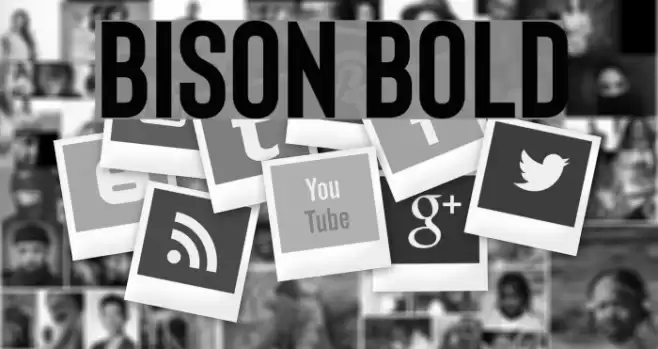 Bison Bold Font examples