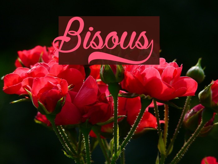 Bisous£ Font examples