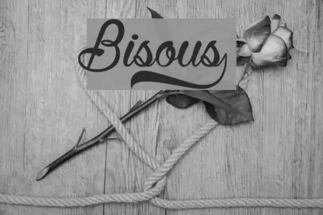 Bisous£ Font examples