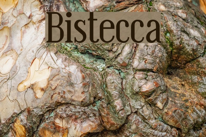 Bistecca Font examples