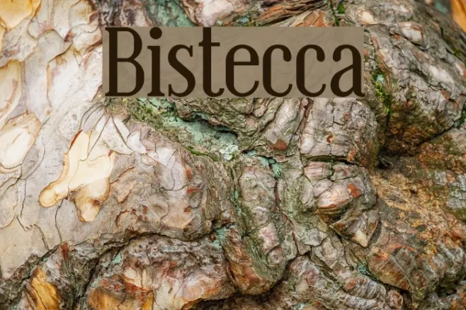 Bistecca Example 1