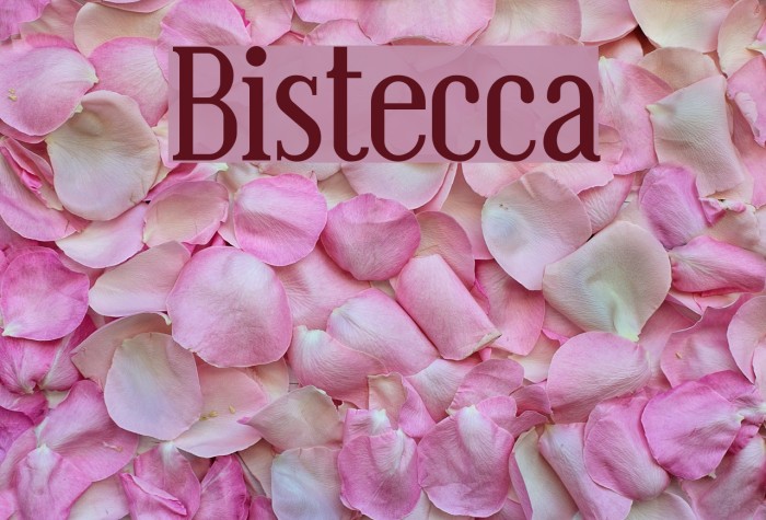Bistecca Font examples