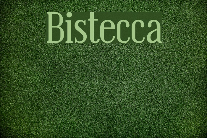 Bistecca Font examples