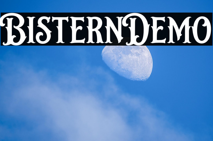 BisternDemo Example 1