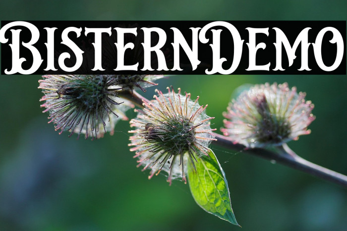 BisternDemo Example 2