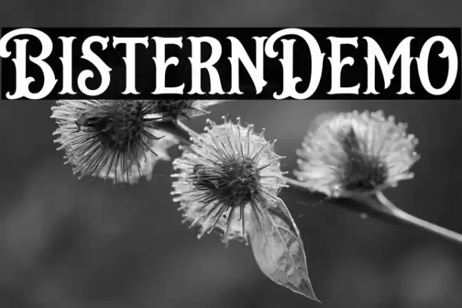 BisternDemo Font examples