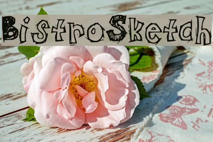 BistroSketch Font examples