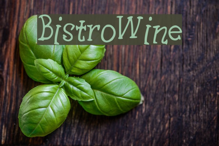 BistroWine Font examples