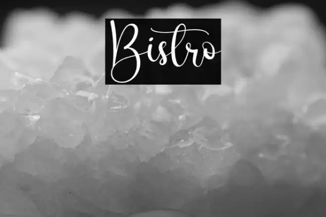 Bistro Font examples