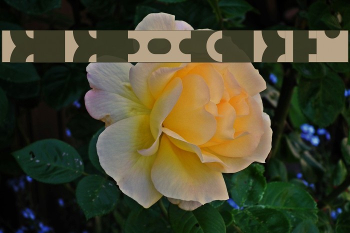 Bit Blocks TTF BRK Font examples