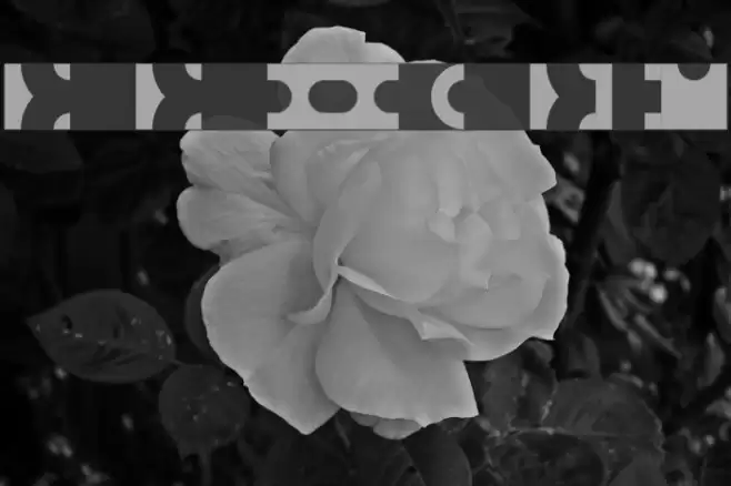 Bit Blocks TTF BRK Шрифта examples