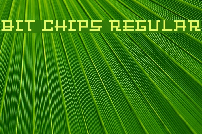 Bit Chips Regular Font examples