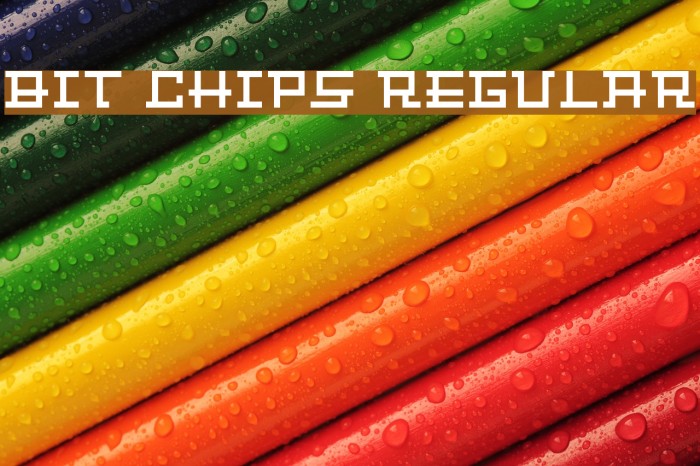 Bit Chips Regular Font examples